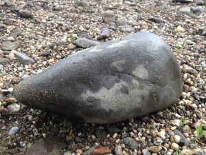 szürke kő